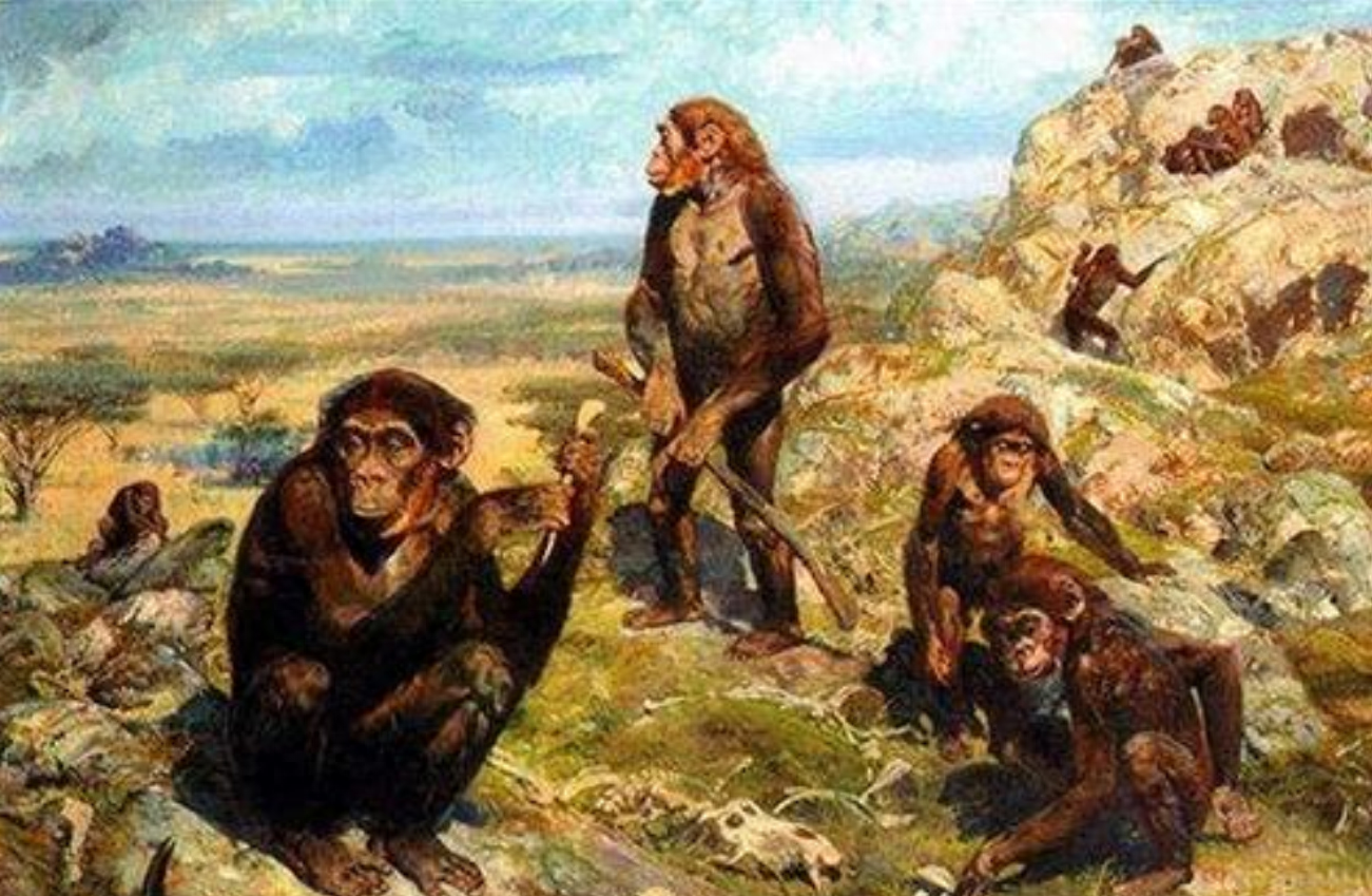 人类为何进化成杂食动物?250万年前的天灾揭开谜团 - 知乎