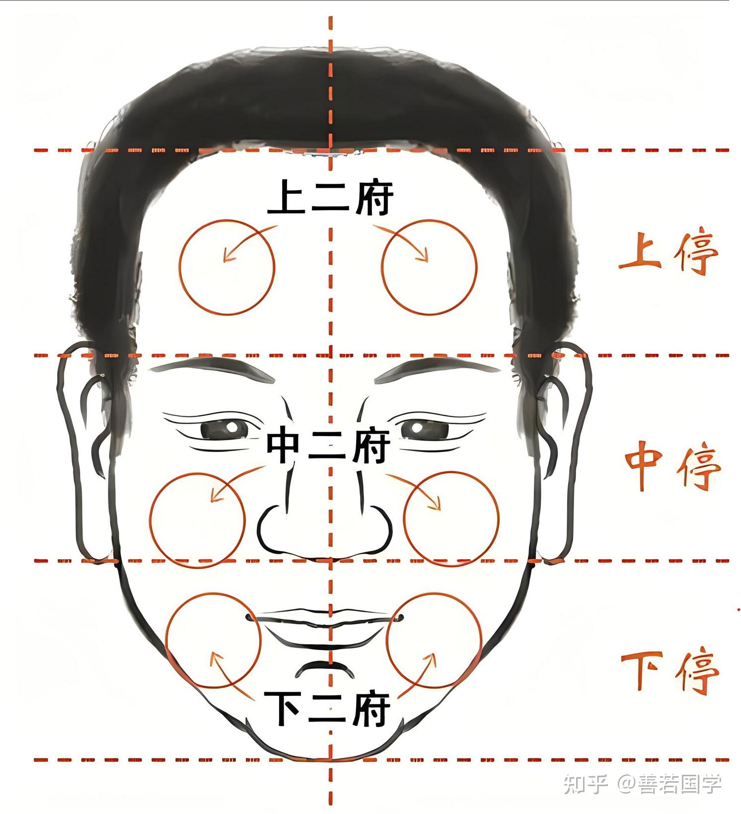 真正师承,来告诉你,学习面相学有何用,该怎么用上篇 - 知乎