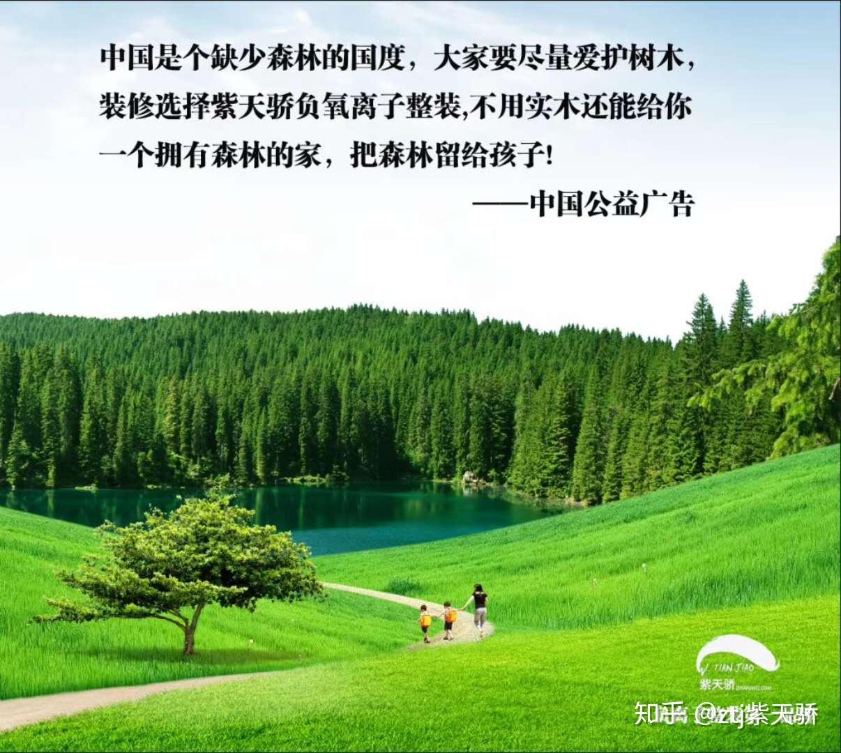 紫天骄负氧离子整装拥有森林的家