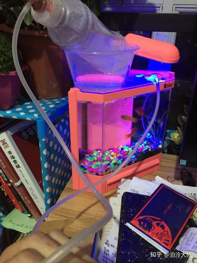 家庭diy自制鱼缸充氧泵成本才不到十块钱一次充氧十分钟