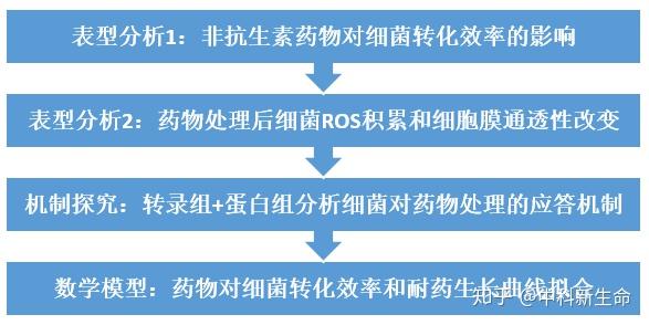 治脚气最有效的药是什么药_药治脚气有效是什么原理_治脚气的药有用吗