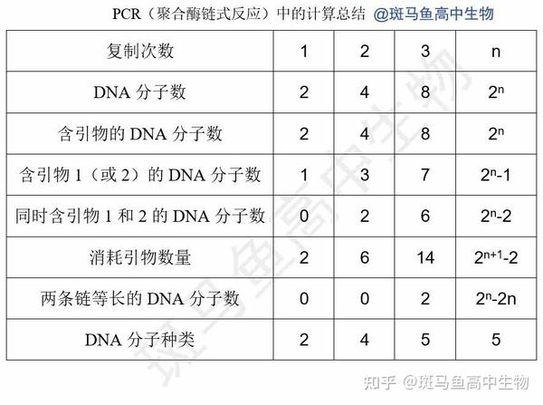 高考生物pcr相关计算总结 知乎