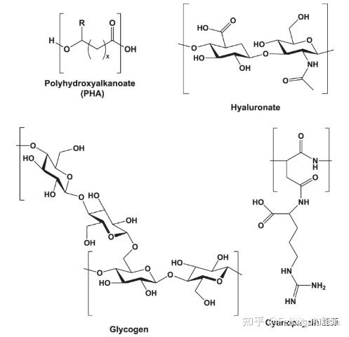 Nature最新论文：微生物固碳先进技术 - 知乎