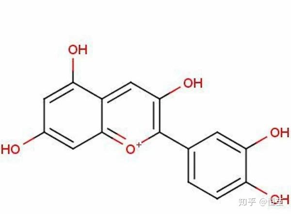 抗衰老神物 花青素 知乎