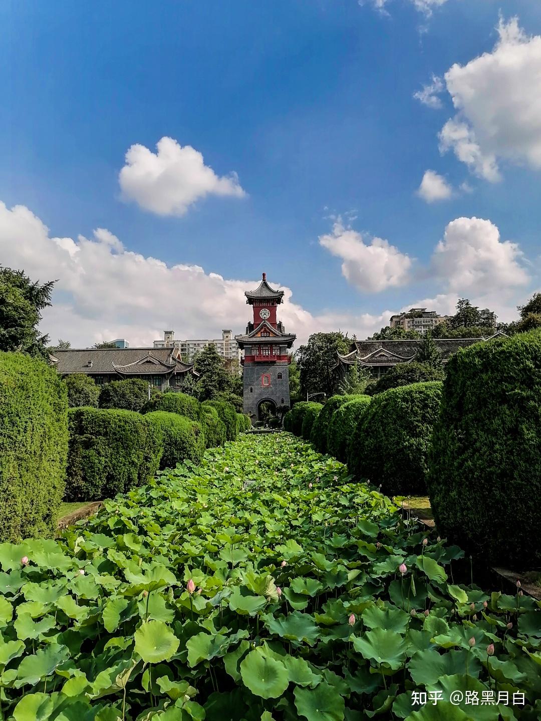 四川大学匹兹堡图片