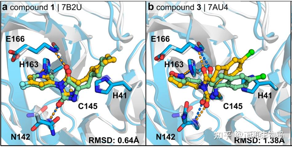数据图图2 化合物1和3在晶体结构中的结合模式与对接构象比对数据图表