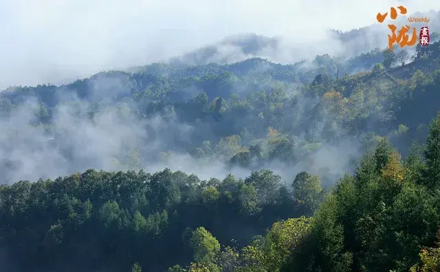 康县云海图片