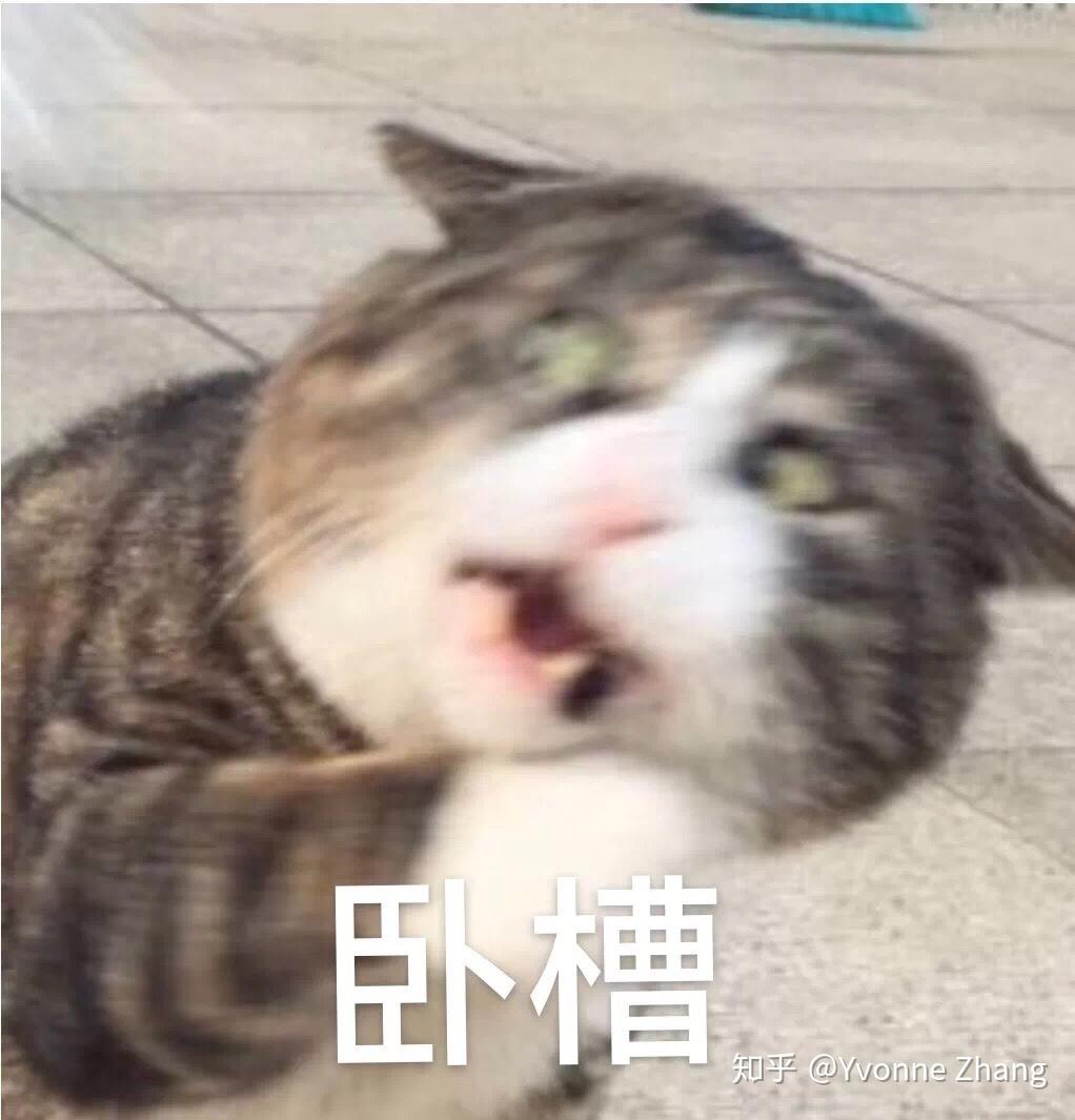 v2-50756540ed431ef0b1eacc6514a13dab_r.jpg
