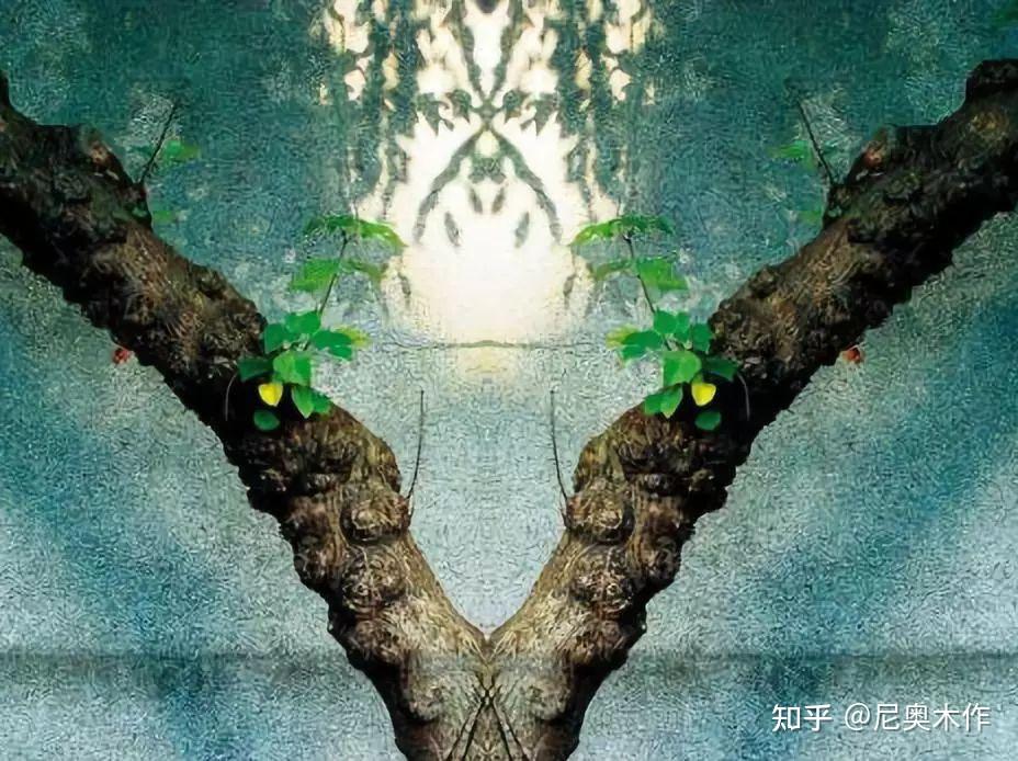 树杈常可见，但是个性而美丽的树杈纹饰面你知道吗？ - 知乎