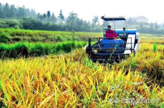 農業趣聞假如農民三年不種地會發生什麼