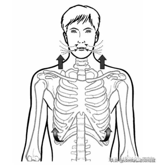 肋骨外翻鎖骨窩凹陷肩背疼痛都是呼吸惹的禍或許你需要重新認識一下你