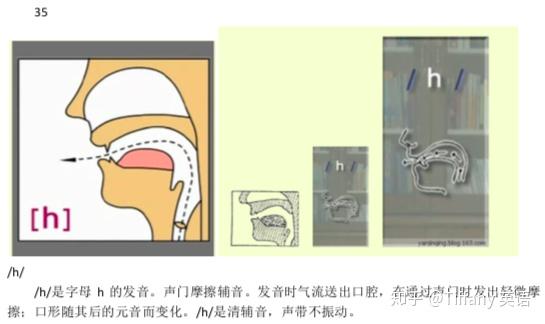 48个国际音标发音舌位图 - 知乎