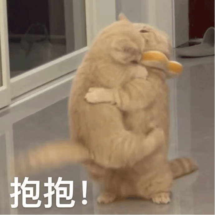 搞笑的动图gif表情包 - 知乎