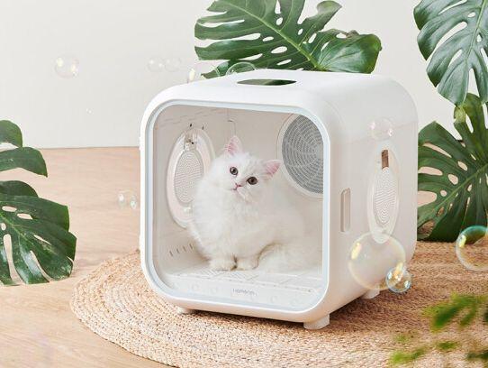 top猫狗宠物烘干箱推荐:宠物烘干箱有必要吗?