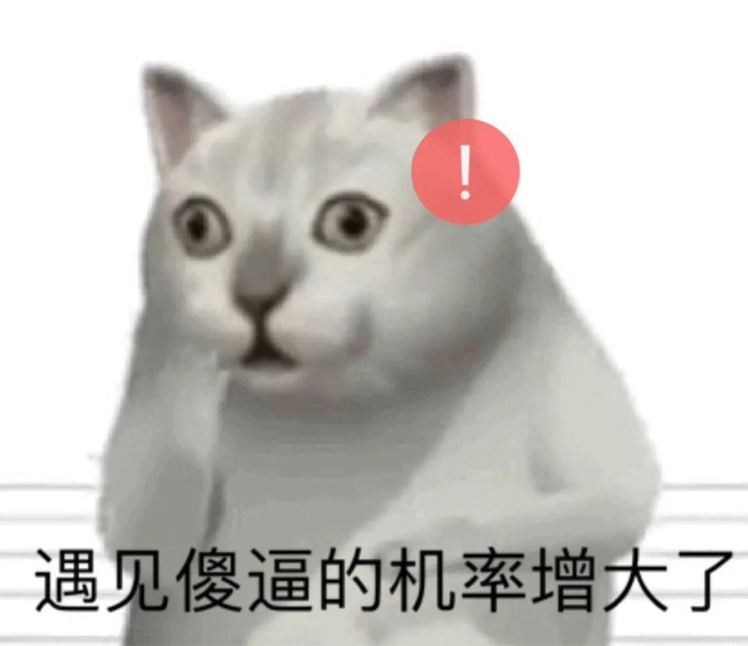 新增mur猫表情包 - 知乎