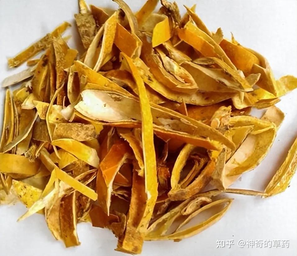 中药材:瓜蒌,瓜蒌皮,瓜蒌子