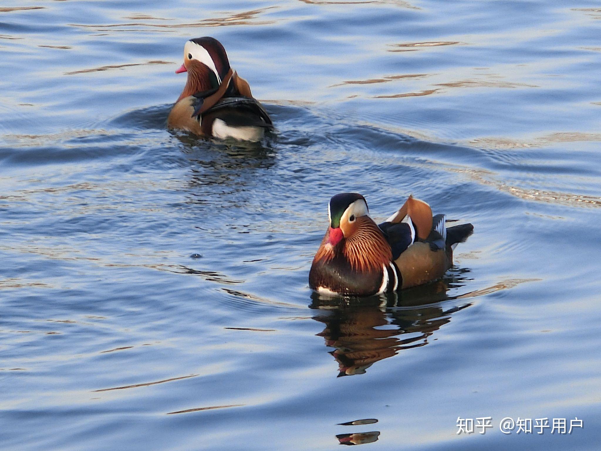 每一刻都是东山再起之时