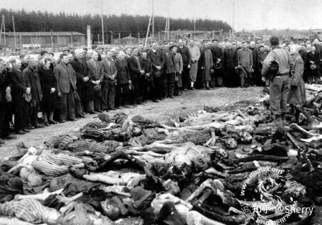 转载俄罗斯是侵略还是反恐法国记者曝出乌克兰纳粹罪行轰炸顿巴斯