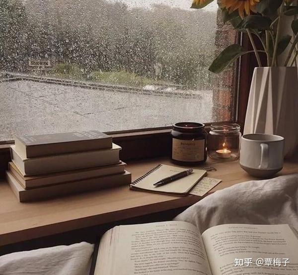 《快速阅读术》:掌握2种快速阅读的方法,让你的阅读更高效 - 知乎