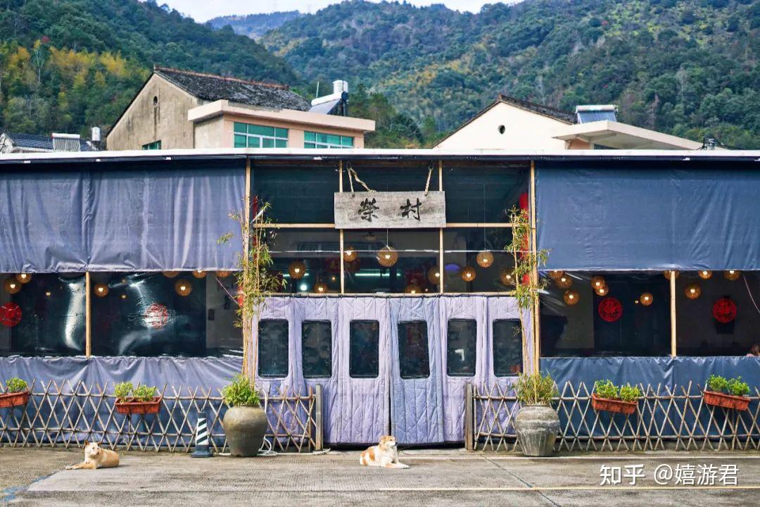 浙江临海:从人均50吃到人均1000,去打卡新荣记元宇宙