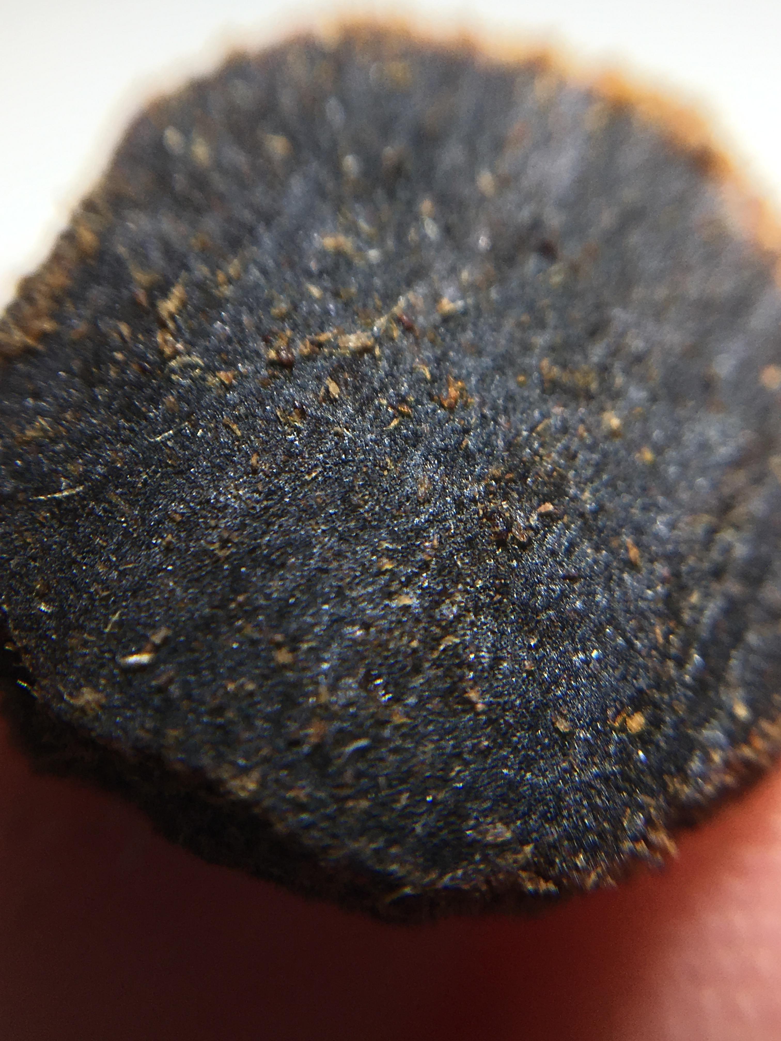 沉香打假系列之辨真——微距记住真沉香的纹理结构难以置信这居炔不