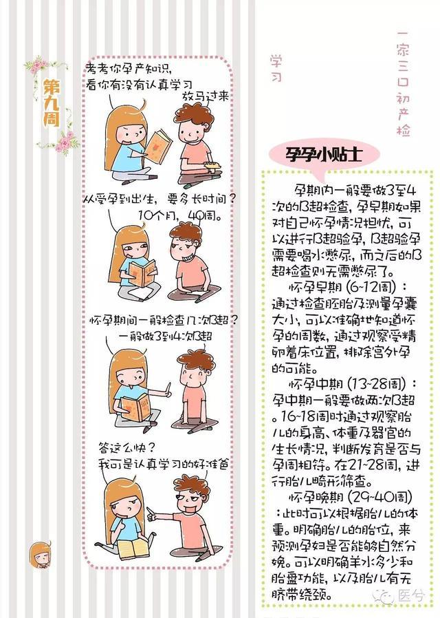 怀孕日记1造人计划