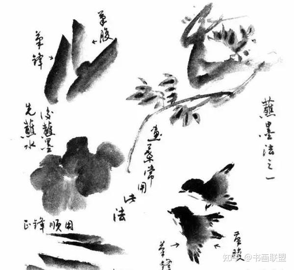 写意花鸟画笔墨技法详解:墨法 - 知乎