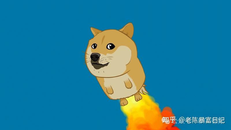 马斯克 “背刺” 事件引发 DOGE 暴跌，Meme币末日狂欢？ - 知乎