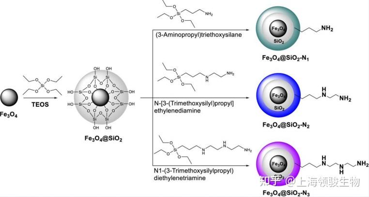 磁性复合微球表面修饰 - 知乎