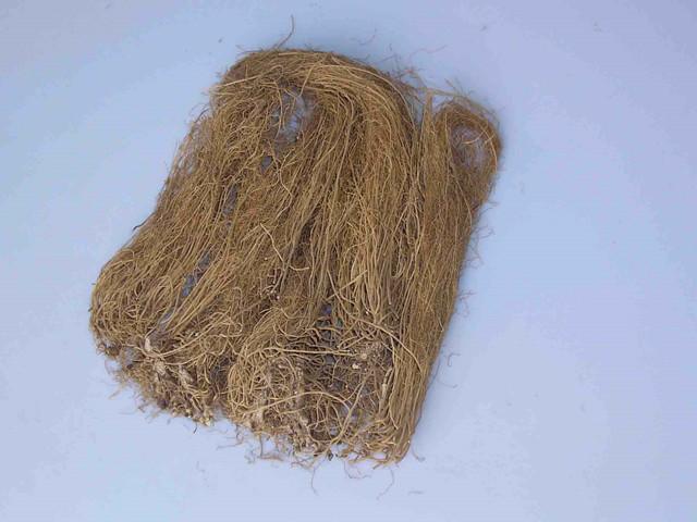 细辛的挥发油含致癌的马兜铃酸吗?