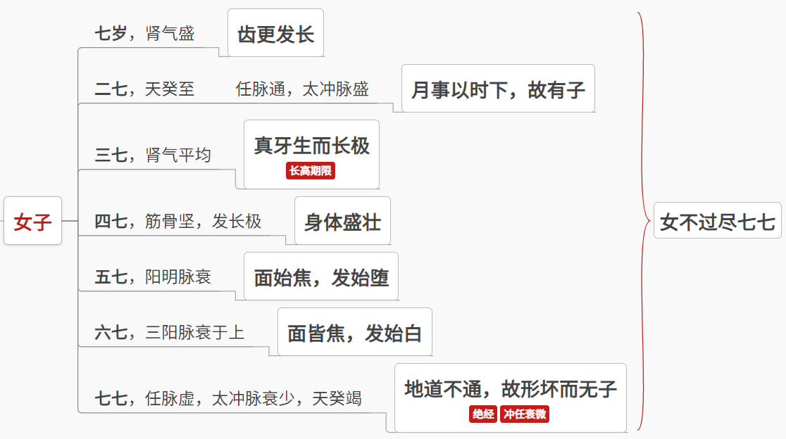 黄帝内经——1.上古天真论 - 知乎