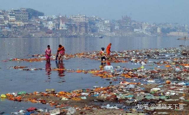 印度人与恒河水的相爱相杀含粪量超标反而成了底层人的营养来源