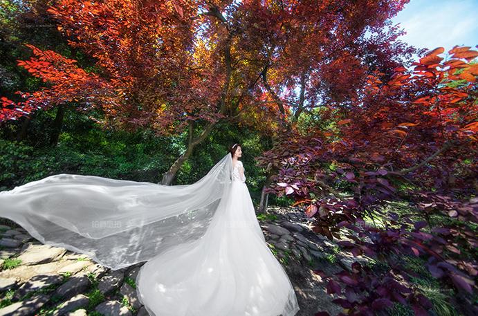 杭州婚纱照哪家拍的好_杭州西湖图片