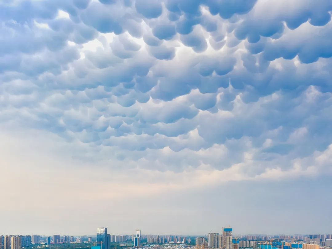 乳状云,又称"乳状积云",是指其形状和牛乳房相似的云层.