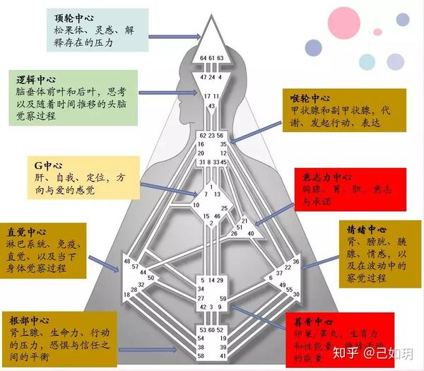 人类图46,图,读(第9页)_大山谷图库