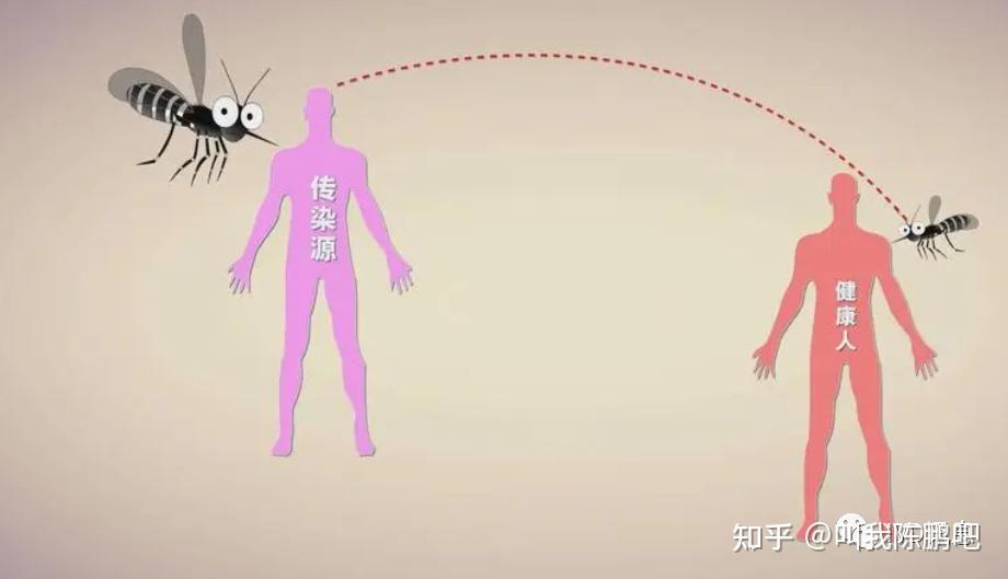 登革熱病毒檢測試劑盒屬於ce ivdr的哪一類別呢?