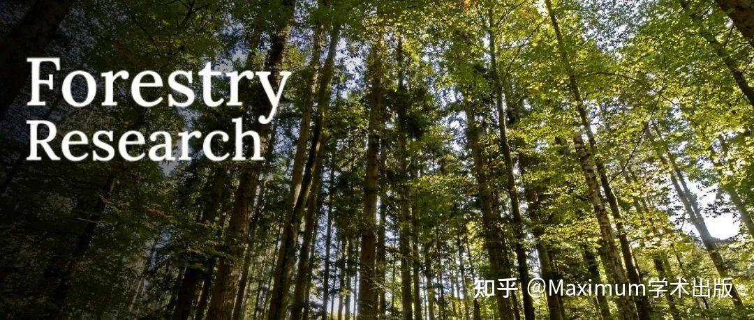 亚林所科研团队在探究森林分结构对森林碳储量影响方面有新进展 - 知乎