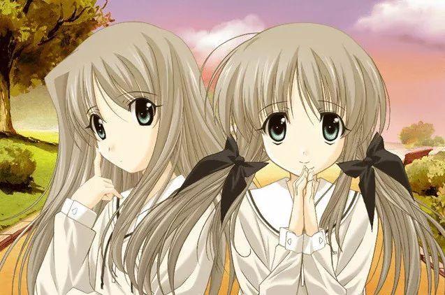 双恋这部动漫后宫全是双胞胎新作男主还是个龙傲天