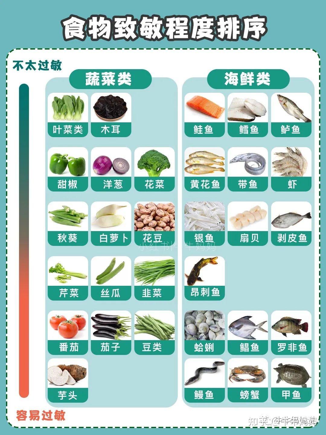 宝宝辅食过敏怎么办易过敏体质宝宝如何添加辅食四大类食物致敏排序