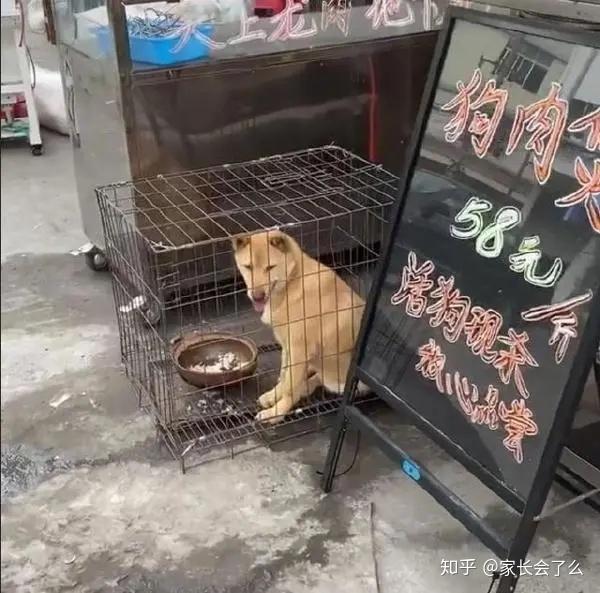 这件羞耻的小事,建议大家每天回家都做做 - 知乎
