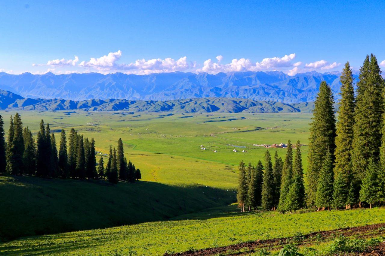(图片来源于lofter@及时雨)那拉提景区平均海拔1800米,集雪山,冰川