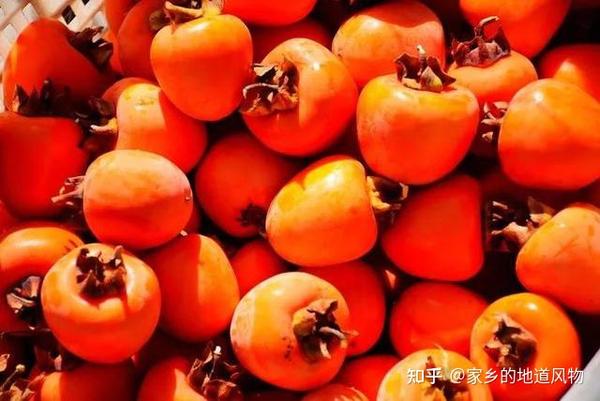 这些地方的柿子都很有名 你吃过哪些? - 知乎
