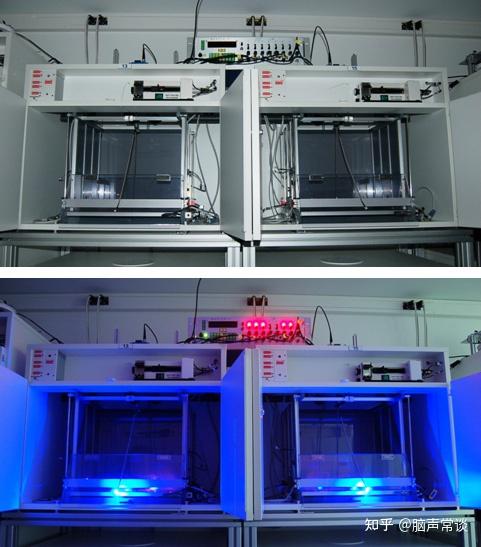 脑声常谈动物行为实验手册穿梭实验测试方法及注意事项