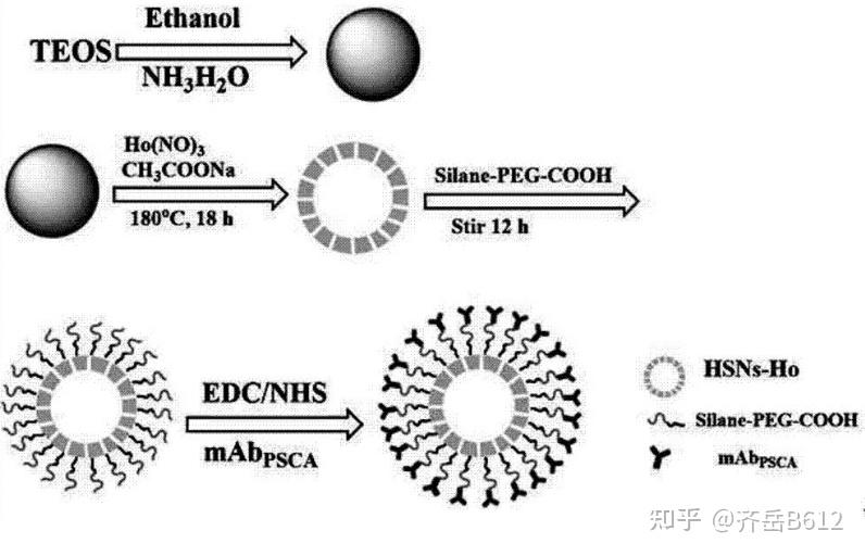 相關定製產品乙烯基修飾的微孔二氧化硅膜孔表面修飾的有機-無機雜化