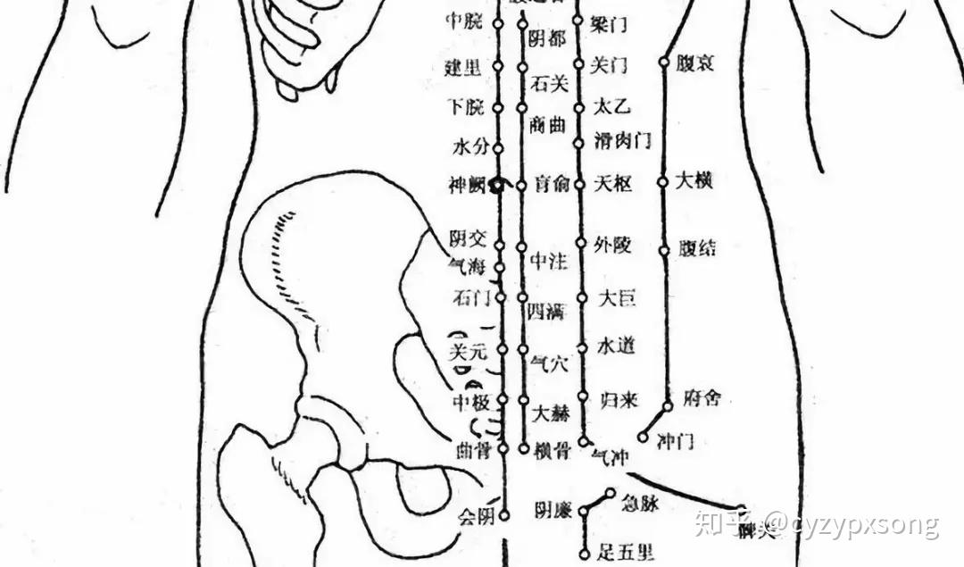 微信公眾平臺:貴柔守雌兩陰之間會陰連,衝任督脈三氣原尾閭左右上兩緣