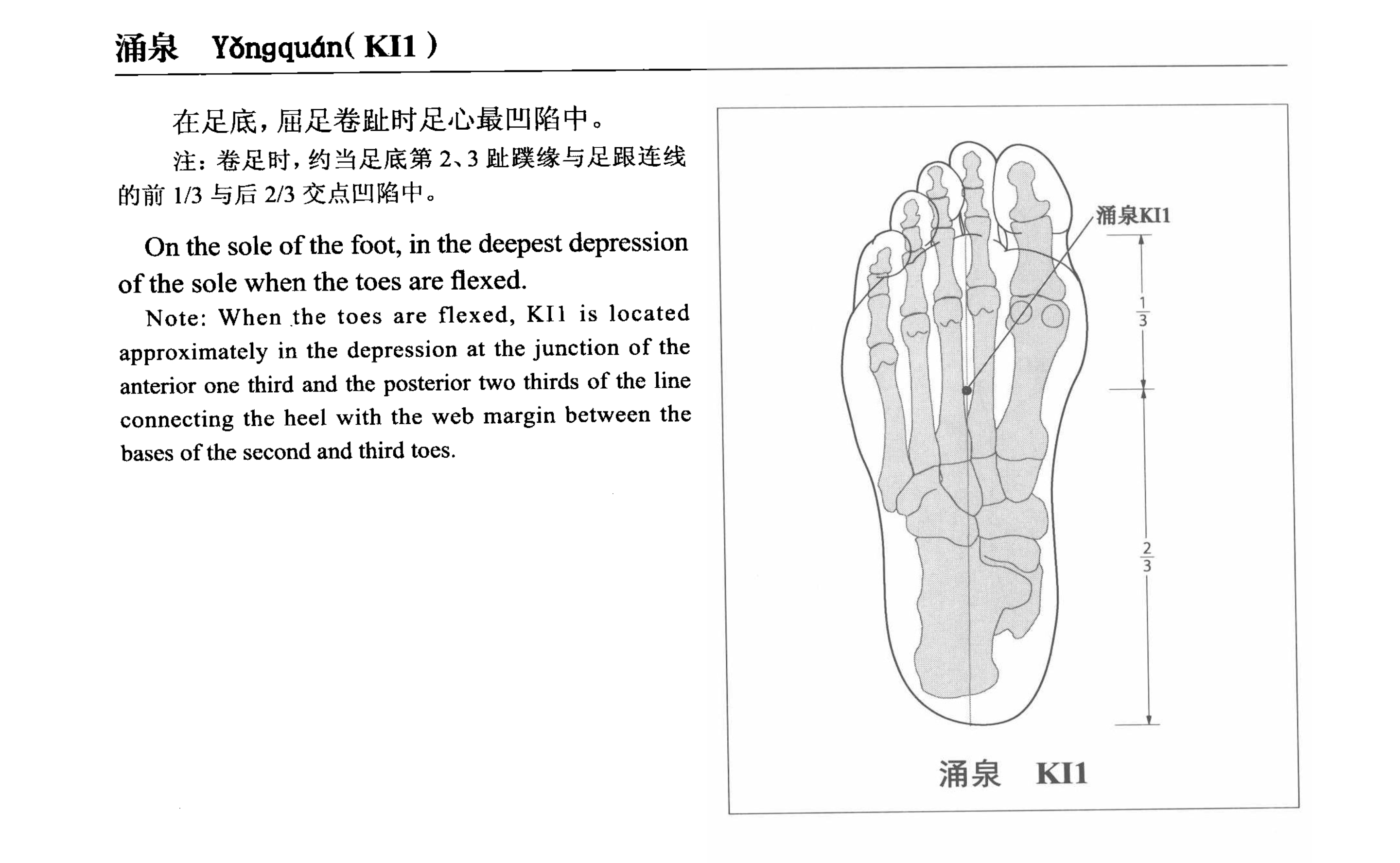 针灸治疗失眠常用腧穴一览 - 知乎