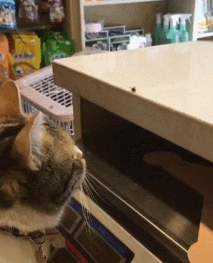 298_368竖版 竖屏gif 动态图 动图