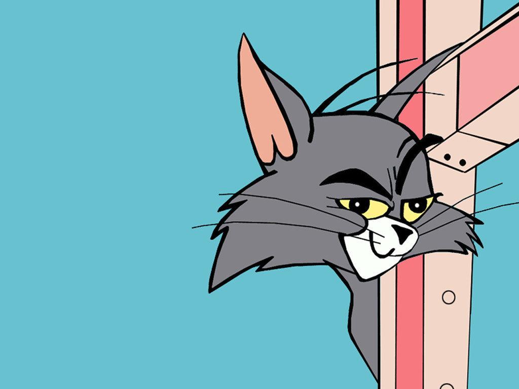 日语中常见符号的读法- 知乎