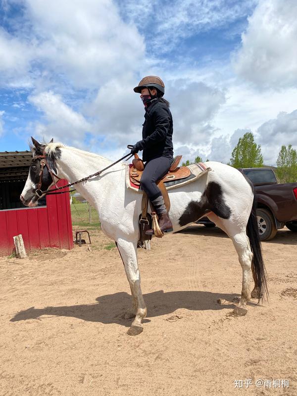 有一项烧钱的爱好是什么体验