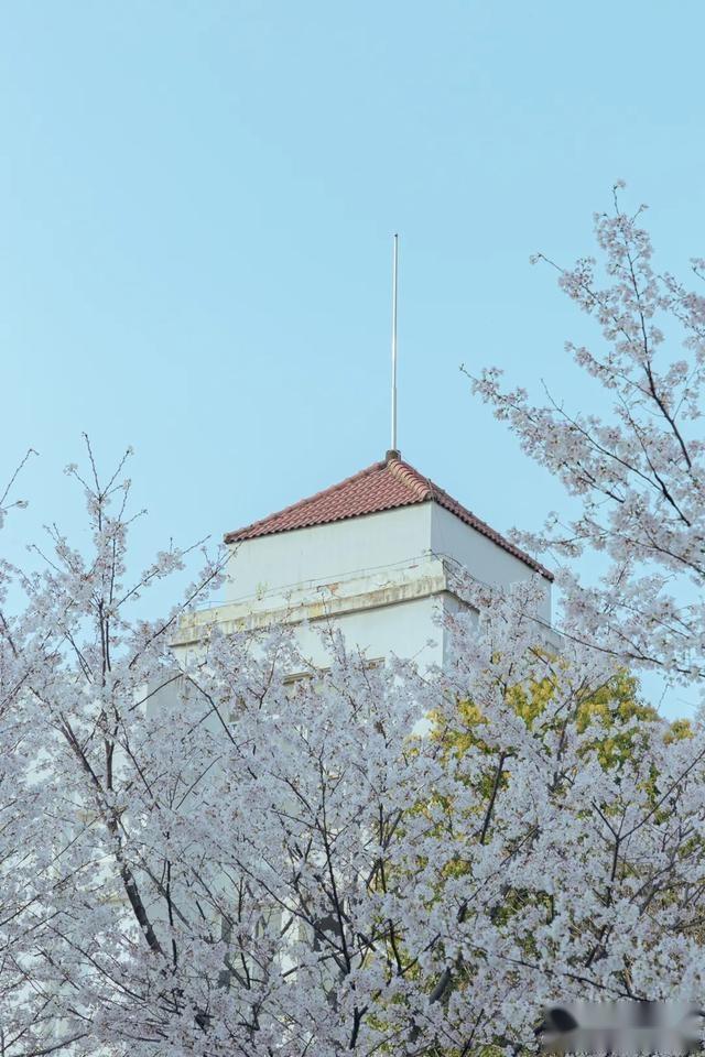 湖北第二师范学院风景图片